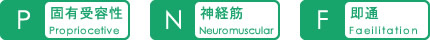 PNF運動療法とは?